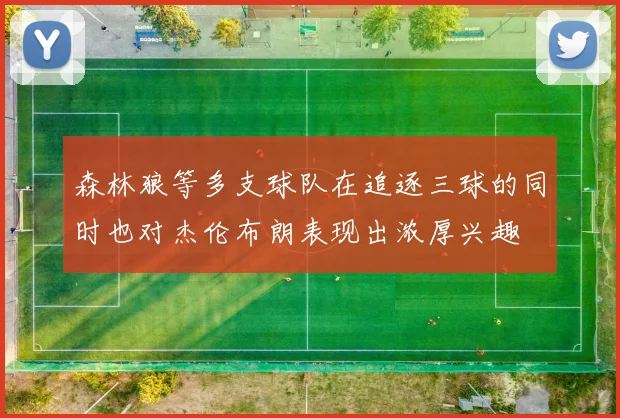 森林狼等多支球队在追逐三球的同时也对杰伦布朗表现出浓厚兴趣