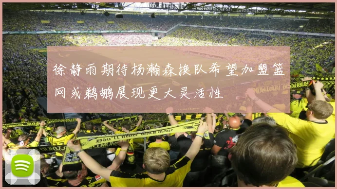 徐静雨期待杨瀚森换队希望加盟篮网或鹈鹕展现更大灵活性