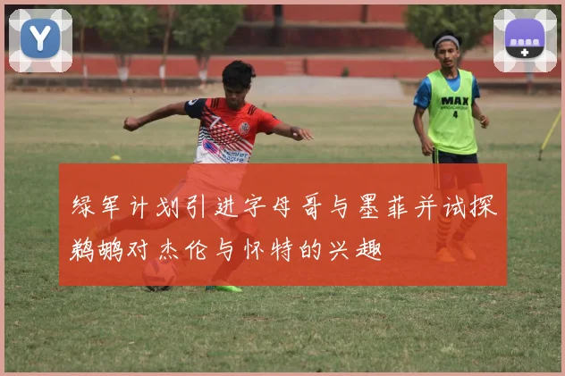 绿军计划引进字母哥与墨菲并试探鹈鹕对杰伦与怀特的兴趣